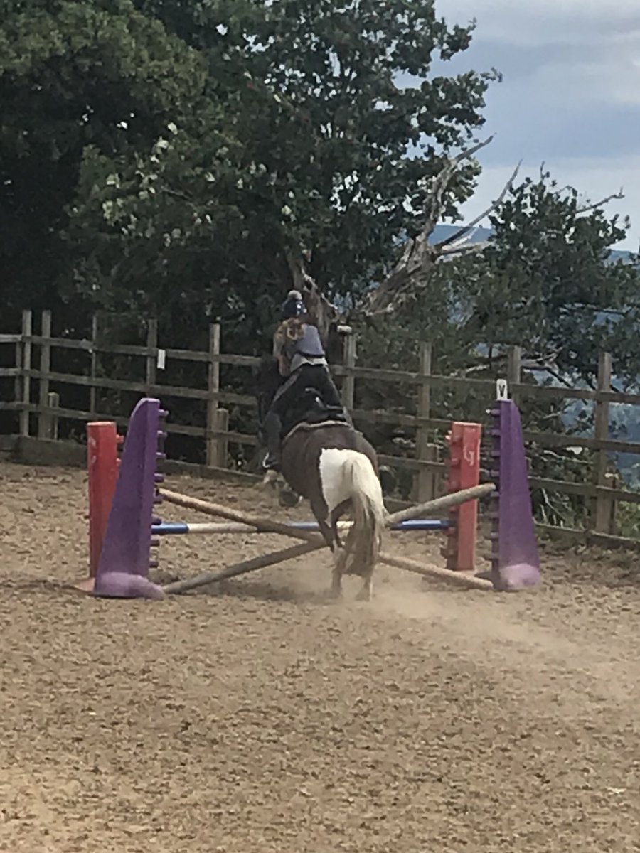 Golden Castle Riding Stables tweet media