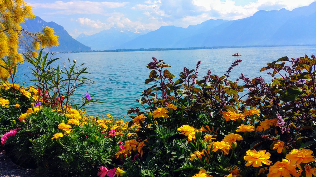 <a href="/AWorldWithYou_/">A World With You</a> <a href="/HHLifestyleTrav/">Hannah : HH Lifestyle Travel</a> @DestAddict <a href="/TouringTastebud/">Chad & Stef</a> <a href="/RoarLoudTravel/">RoarLoud</a> <a href="/RoadtripC/">Roadtrip Couple</a> @TimRoxborogh <a href="/jpcacho/">Josh Cacho</a> <a href="/wandersmiles/">Vanessa 🌍 She Wanders Miles</a> <a href="/MadHattersNYC/">Mad Hatters NYC</a> Your adventure are all the time dreamy!

Mine was in Switzerland! I spent such a lovely time there! 😀