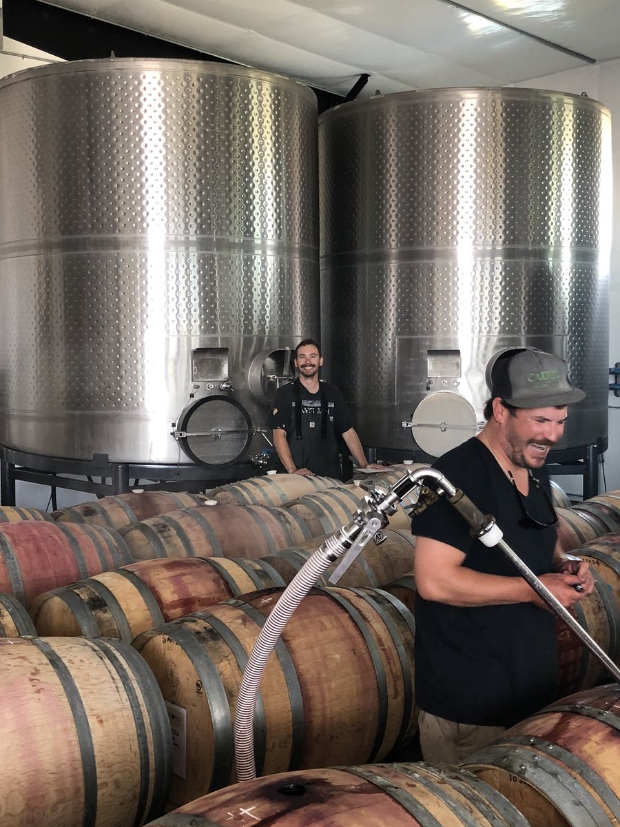 ProperWines's tweet photo. Barrels on the floor, Sean tasting each barrel to pick the best of the lot, Kevin and Chris racking the final blend in tank. Soon, very soon, 2016 Vintage in bottle! #rockssyrah #typicaldayatwork #makingwineswelove https://t.co/vz6CGnqI03