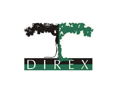 Direx tweet media