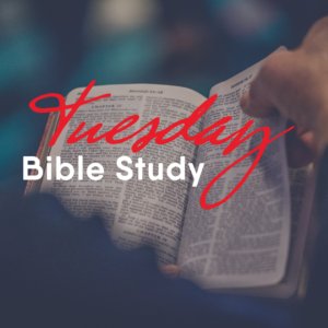 download The Transnationalism of American Culture: Literature, Film, and Music 2012