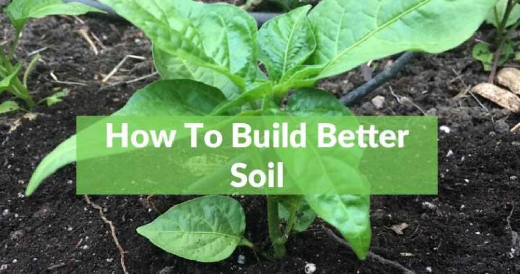EasyIrrigRepair's tweet photo. How to Build Better Soil Through Fungi, Nutrients &amp; Structure: The goal here is focusing on what nature is providing while enhancing those properties to your benefit. https://t.co/JcXOuv3Ns9 #gardening https://t.co/Q8gCRnYFlf