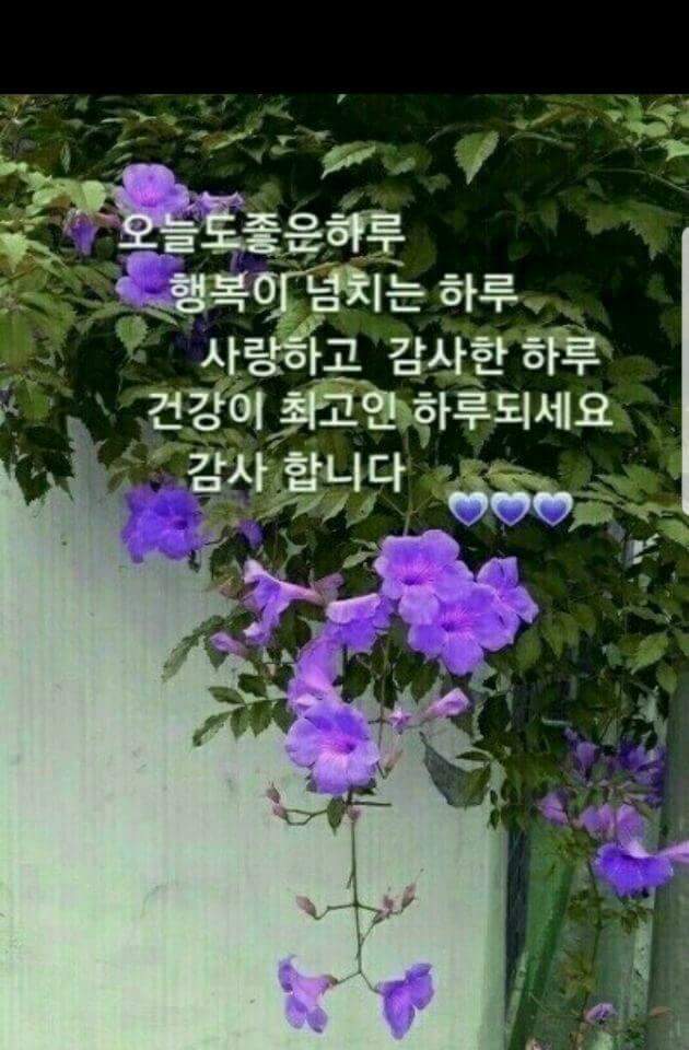 김재홍 (@ptkim17) on Twitter photo 