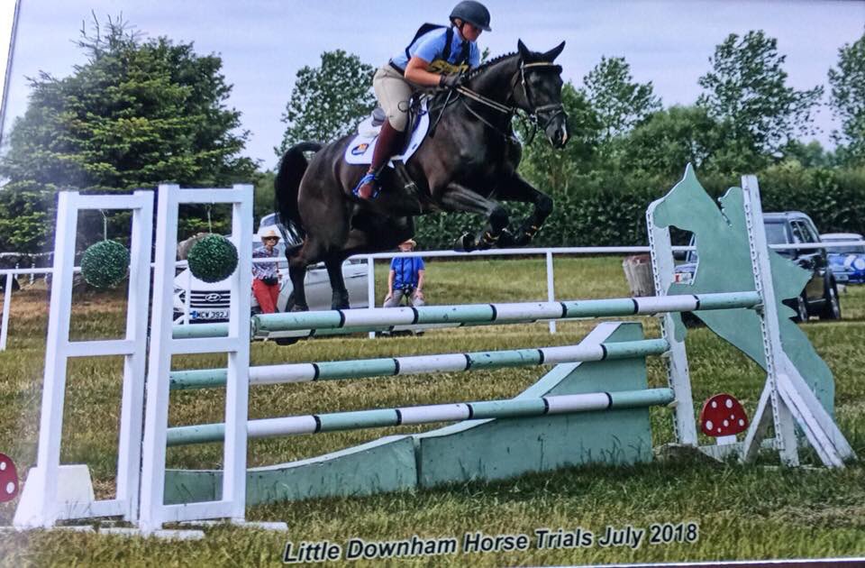 BDAequestrian1's tweet photo. Homebred Willow BDA springs her way to 10th, with a 28.8 dressage in her second Novice, gaining her qualification for the British 6yr old Eventing Championships at Osberton 🌟 #BDAequestrian #britishbred 🇧🇲🇬🇧 https://t.co/iX7YqbYFP2