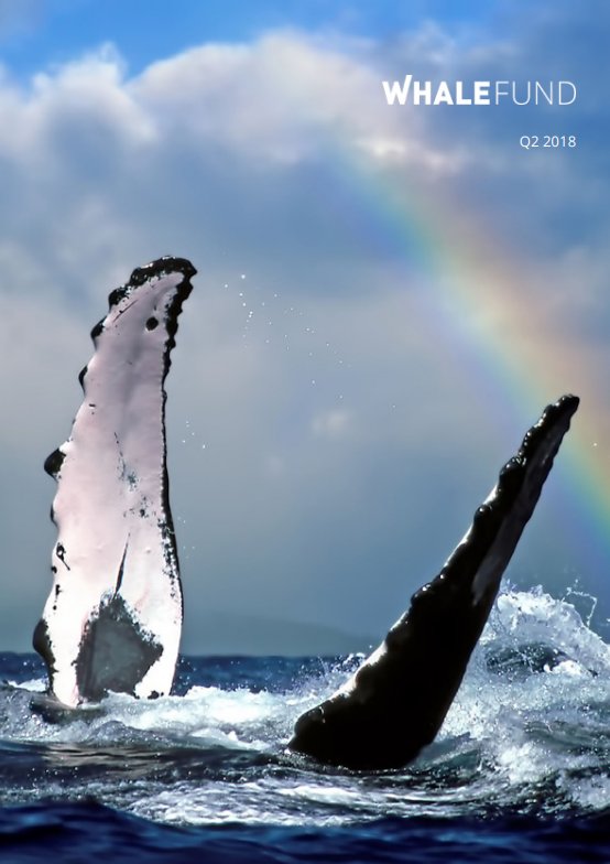 WhaleFUND_io's tweet photo. 2nd quarterly report of WhaleFUND is ready (for now only in RUS, will be transladed ASAP!): https://t.co/8O4R0L9WkT https://t.co/J39aSNr3kX