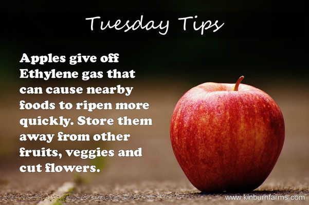 Tuesday Tips!!