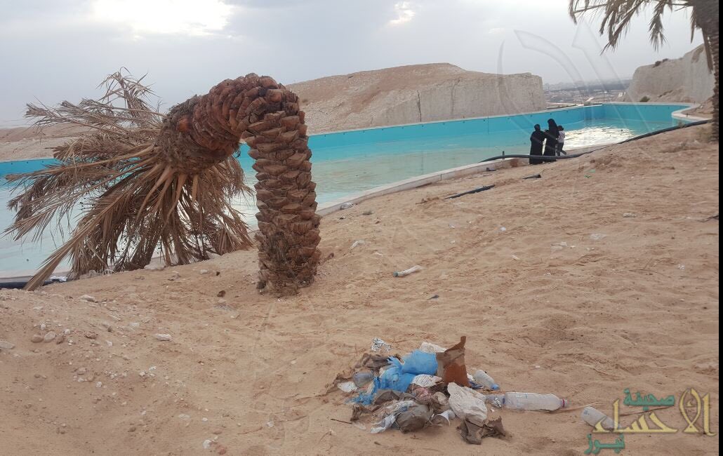 baqshihh's tweet photo. مشروع تطوير #جبل_الشعبة من ثمان سنوات وهو مغلق لاجل التطوير ، تم تطويره ولم يفتتح لاسباب غير معروفة الى ان اصبح مكب للنفايات والتخريب واضمحلت جميع جمالياته وتكسرت وماتت نخلاته واشجاره !! يحتاج الى التفاتة عاجلة ..
.
#ماذا_ينقص_الاحساء https://t.co/FmMoIJtN8z