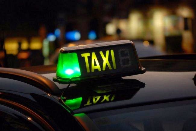 TAXISTAS ANIMALISTAS 🦁🐵🦌🐼🐰🐥🐘🐪🐭🐿🐧🐻🦔🐦 tweet media