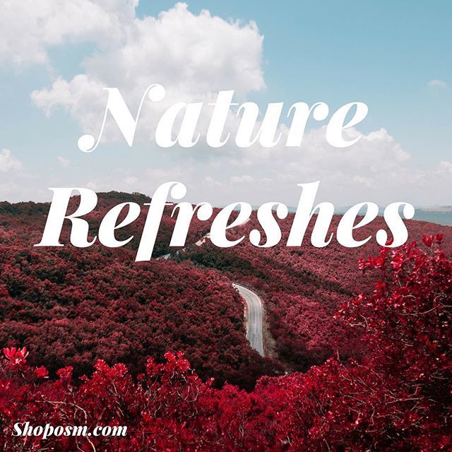 shoposm's tweet photo. In the #middle of the #week, take a small break and let nature #refresh you. .
.
.
.
#refresh #yourself #believeinyourself #instagood #weekday #wednesday #motivation #cool #calm #theshoposm https://t.co/qSNmXhejA9 https://t.co/3dtLQV9QMQ