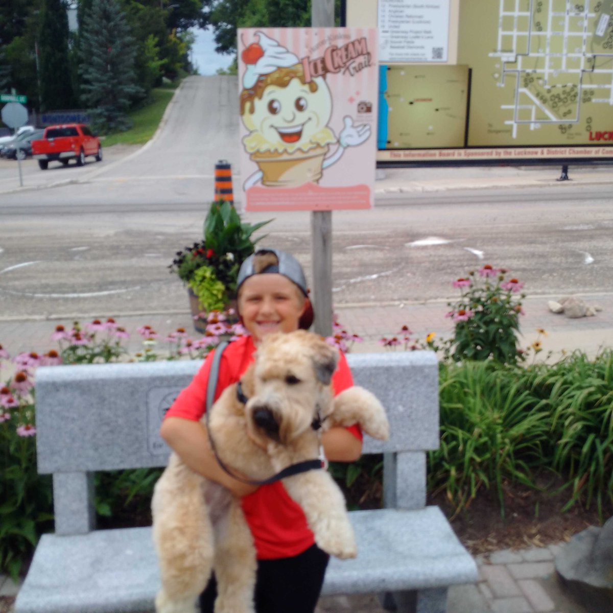 Brockguy68's tweet photo. #IceCreamTrail Jack and Ginger on the hunt for ice cream! https://t.co/tgQDETW30q