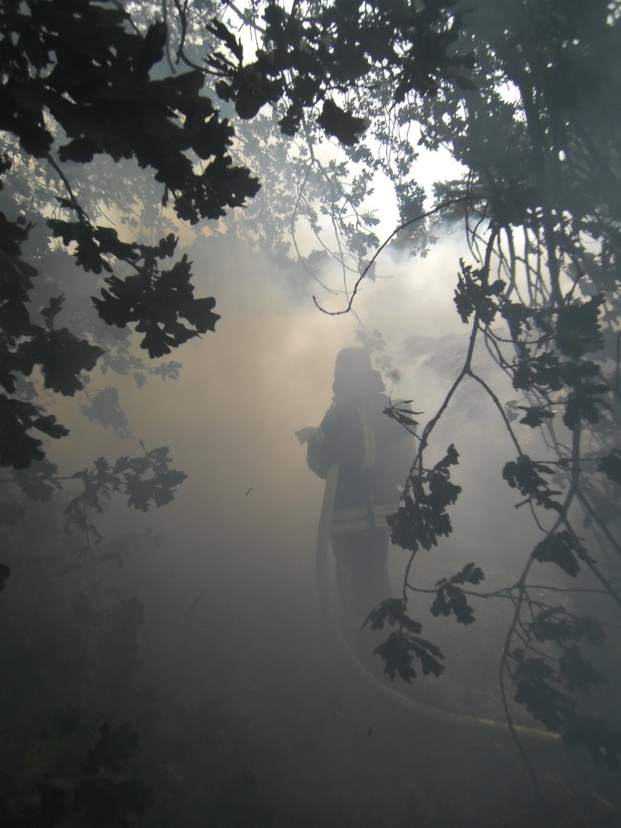 Vorsicht! Der Deutsche Wetterdienst, die Niedersächsischen Landesforsten und die regionalen Feuerwehren weisen auf extrem hohe #Waldbrandgefahr hin!