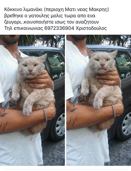 View image on Twitter