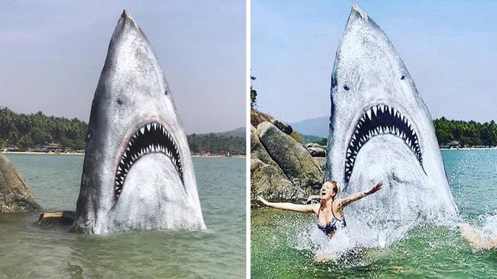 PhotographyGang's tweet photo. This artist turns a simple rock into a fierce shark by Jimmy Swift! https://t.co/xBsGDLffEz