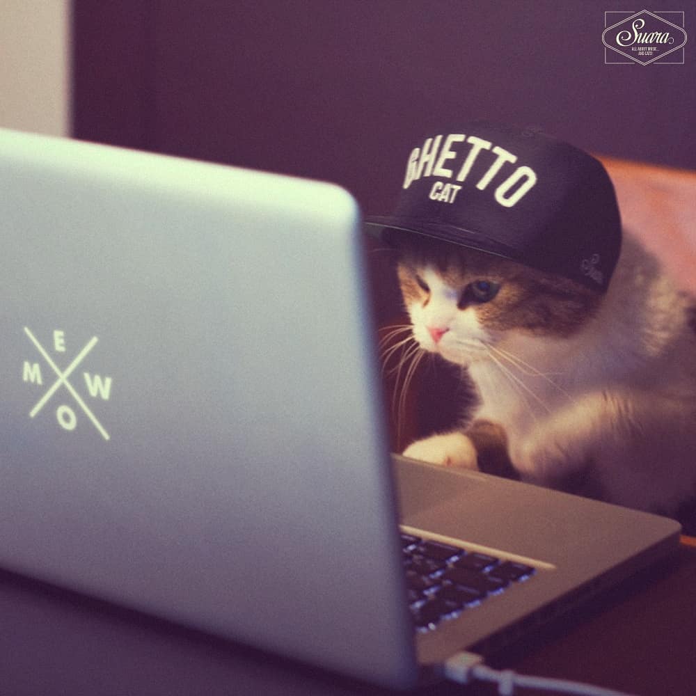 CatalystBPM's tweet photo. Waiting for @CoyuMusic like.... https://t.co/ROfz5ptEN0