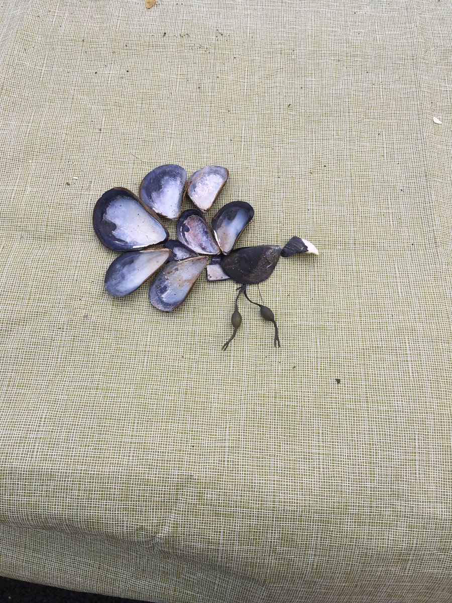 MaryFPropertie1's tweet photo. She sells sea shells by the sea shore. https://t.co/BOt1knKX1V