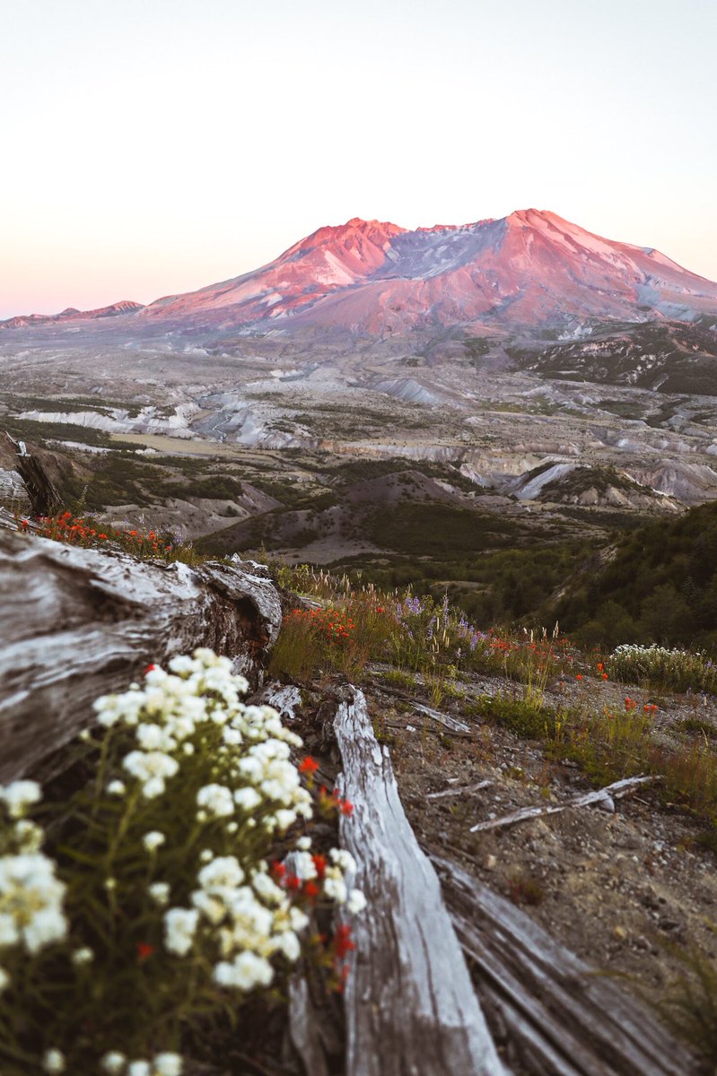 stephoto27's tweet photo. No matter where i am in this world, home is right where my soul is. 

📍St. Helens, OR https://t.co/gbzxBLMZcX