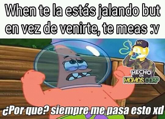 ElbannerOficial's tweet photo. #sdlg #hailgrasa #momo #momos sus repoios kabrones hijos de su gfa https://t.co/syT3k8y9gZ