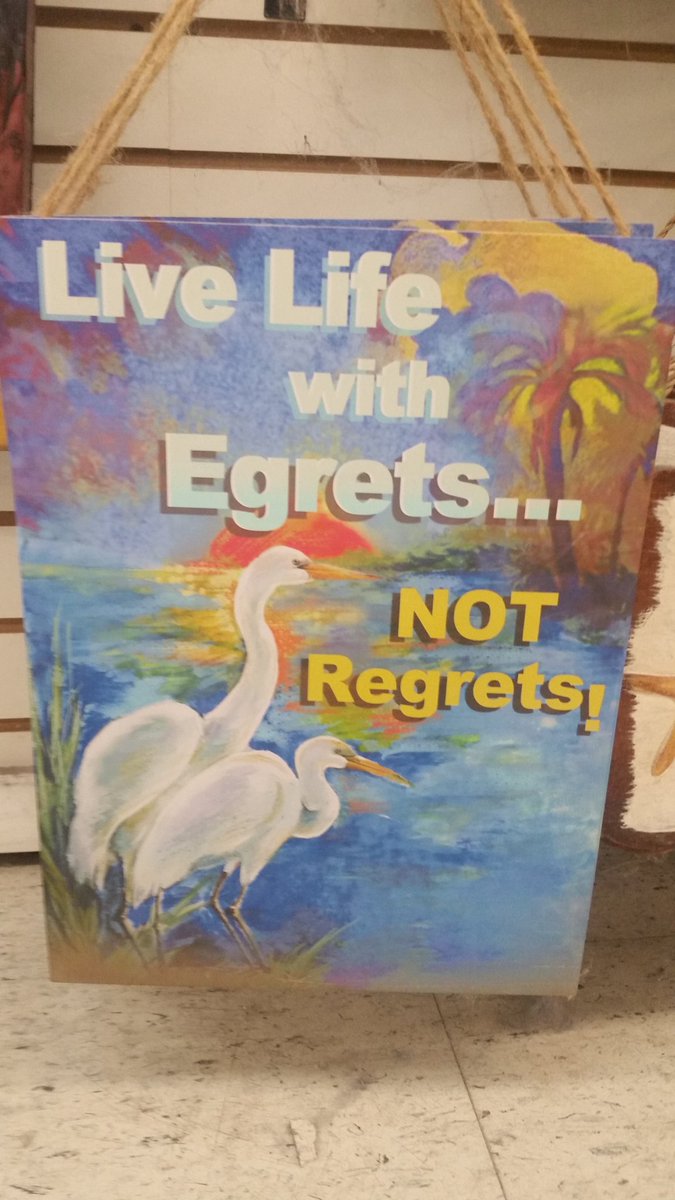 joetact's tweet photo. @StephenAtHome I love egrets. https://t.co/ME6GsLmcw2