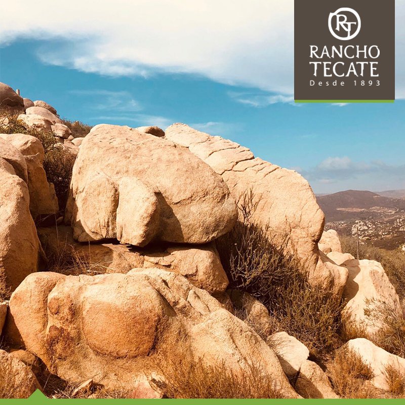 Ven y conoce la magia🤠🍇 de vivir en un lugar rodeado de tranquilidad y naturaleza 🌳
Firma tu terreno con $395 USD.

 👉 ranchotecate.mx/encinos/