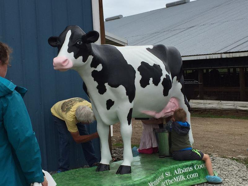 'Breakfast On The Farm' Serves Up Pancakes And Farm Education dlvr.it/QcdbSM https://t.co/W5zxIifjkO