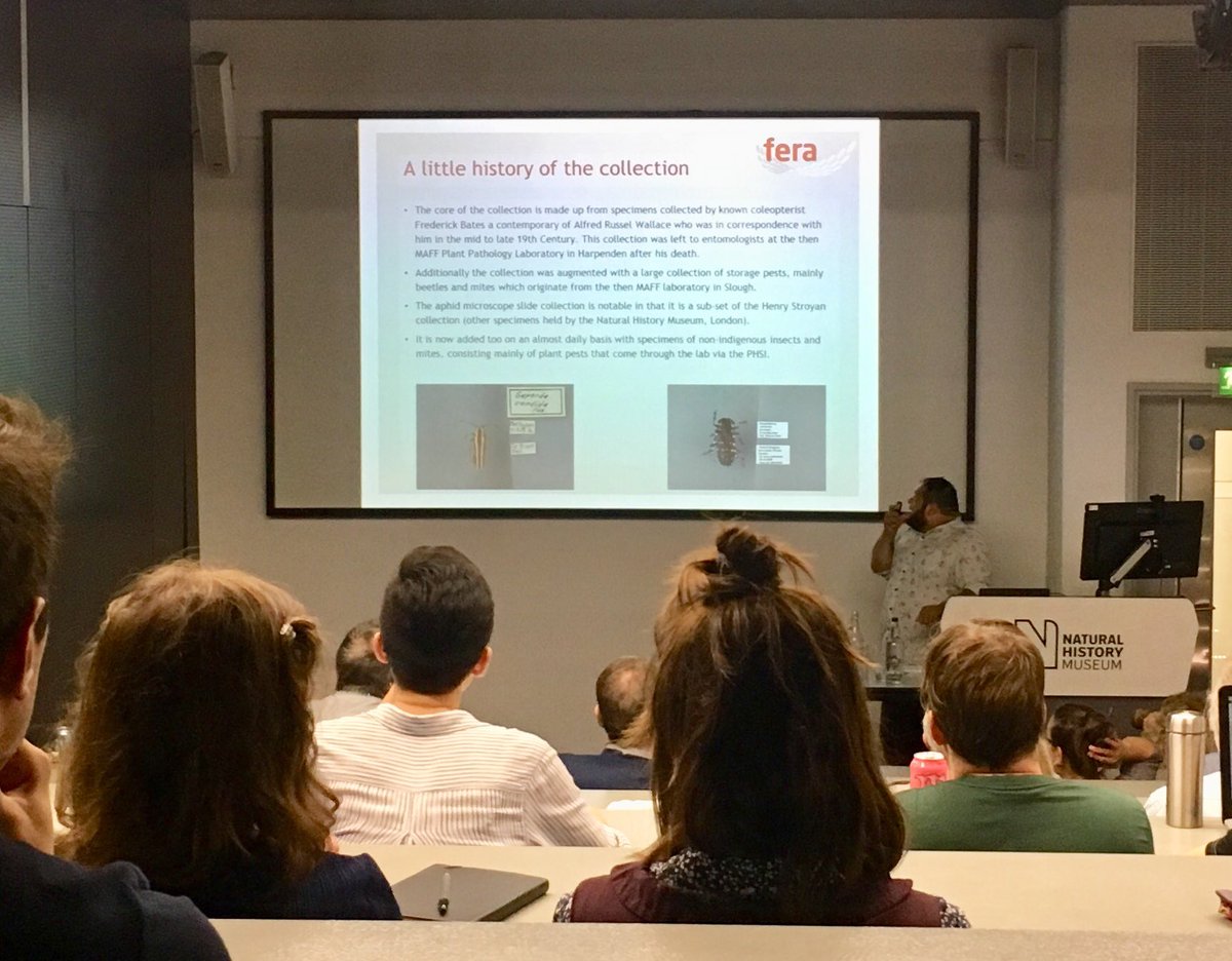 NHM_Coleoptera's tweet image. @FeraScience The national pest collection. Protecting our borders from invasive insects that may threaten our natural biodiversity. Great talk by Duncan Allen. This is a resource open to researchers too! #anthropocene #entomologycollections
