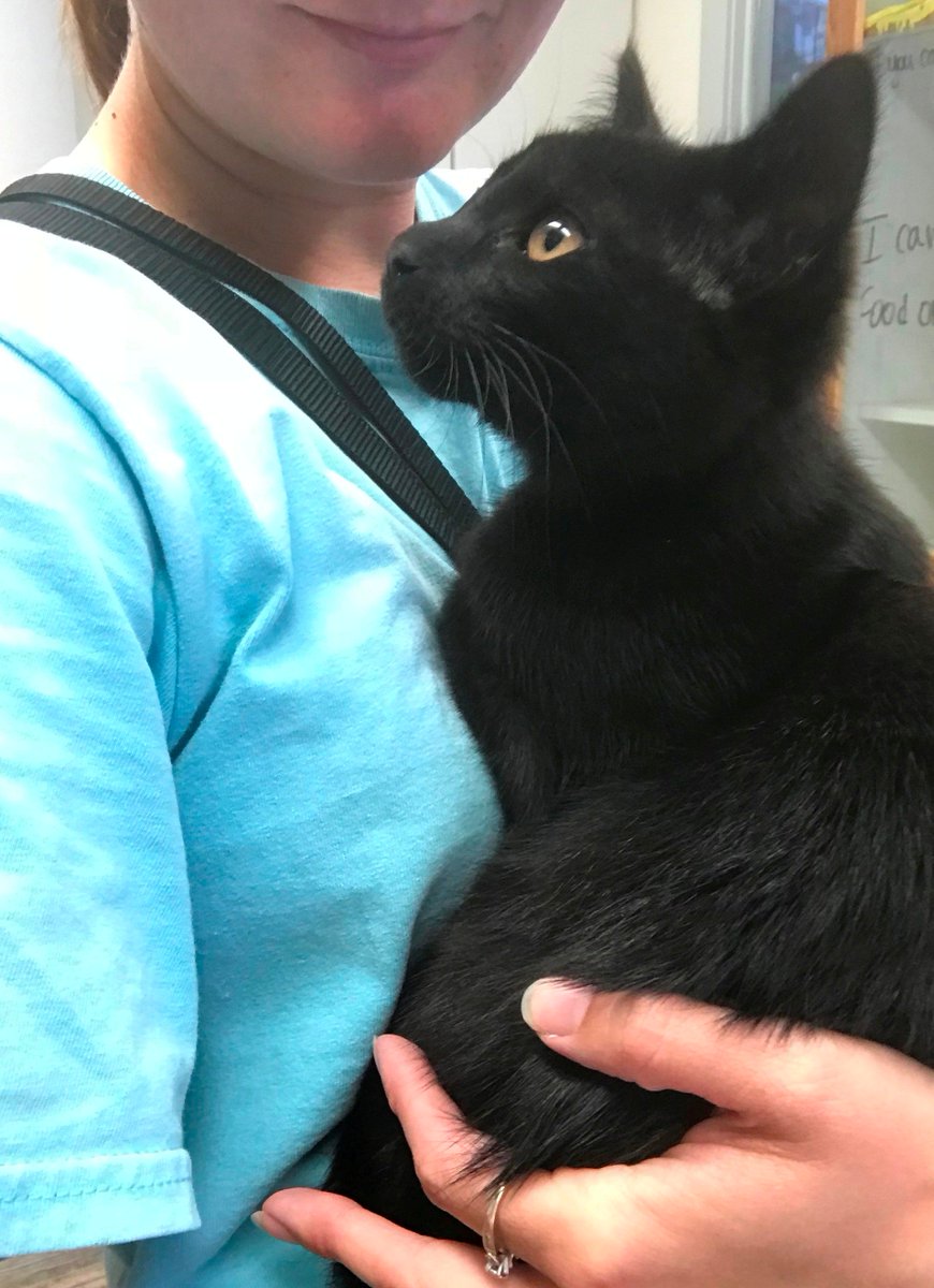 PPRUniversity's tweet image. Stewart is getting so big! :)