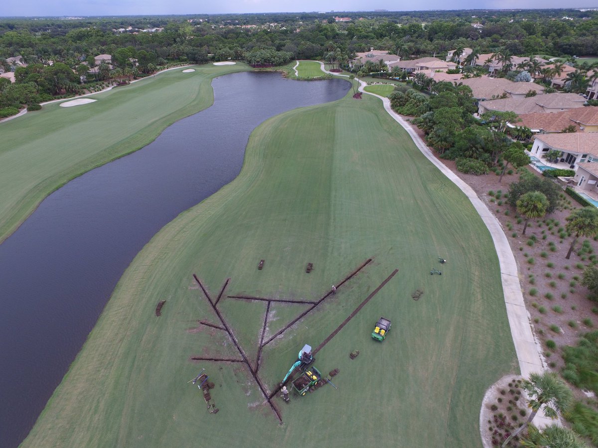 Frenchmans Reserve tweet media