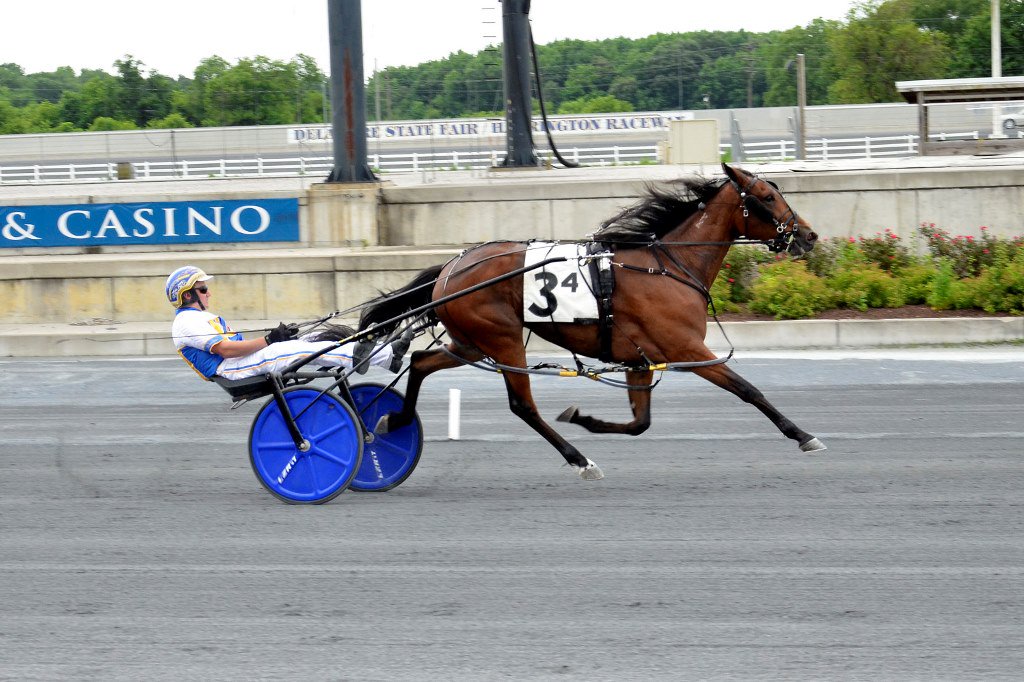Back from an injury that ended her 2017 season, Jamie's Renegade is undefeated this year and the pride and joy of mother-daughter owners Debbie and Jamie Bozman goo.gl/1QeJWN

Photo: Fotowon 
#HarnessRacing