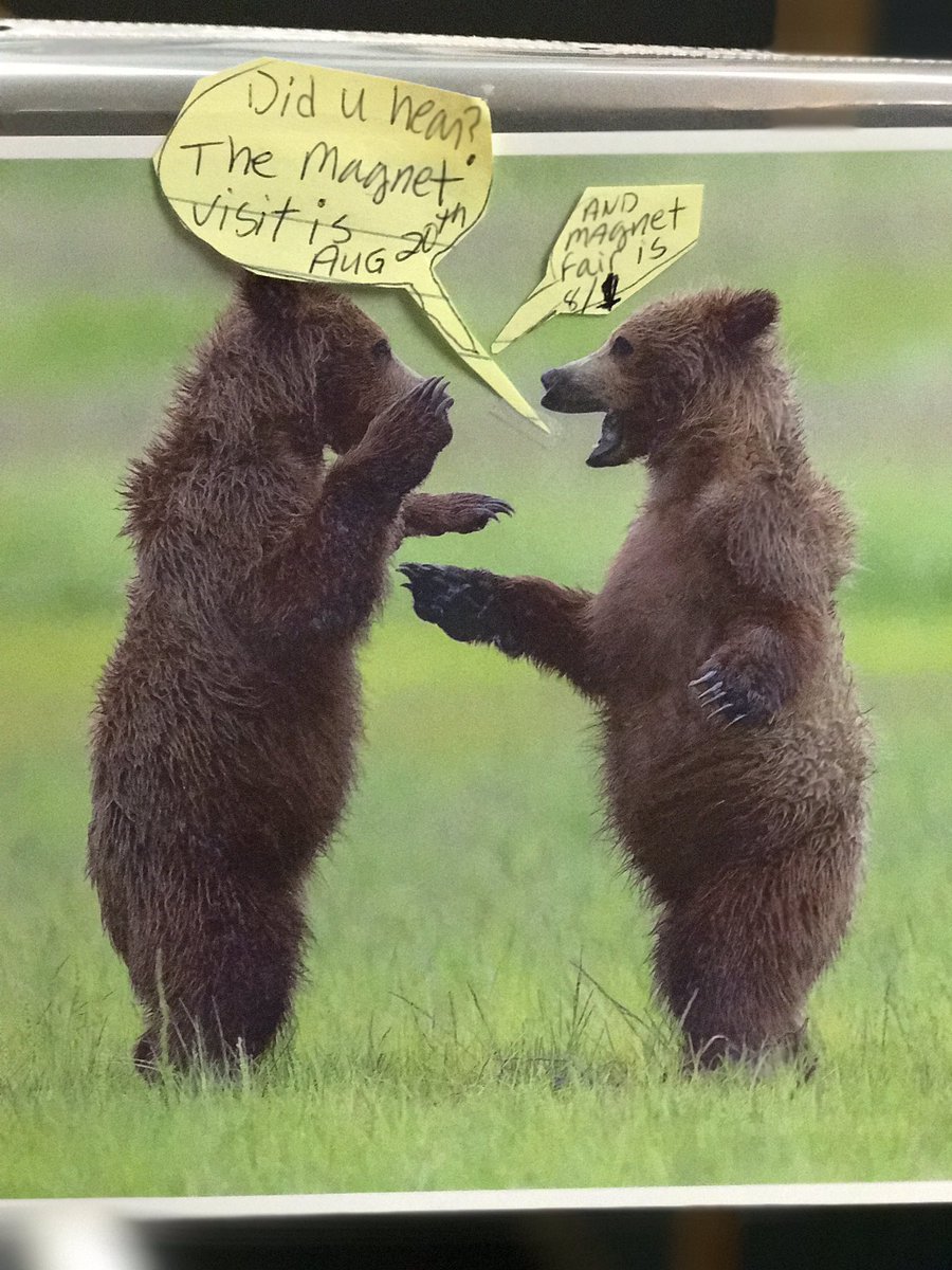 lferleelee's tweet photo. @VirtuaHealth Marlton Endo Unit even has the bears talking about it!! https://t.co/Lo9JSZq604