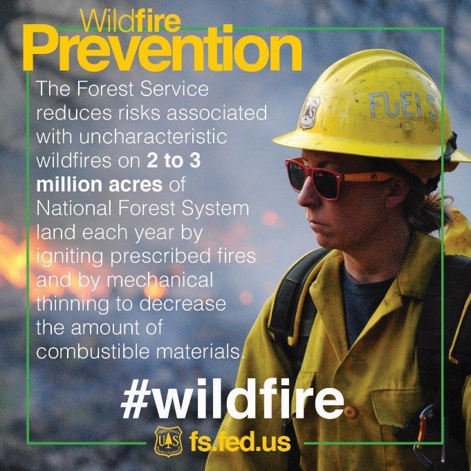 USDA Forest Service tweet media