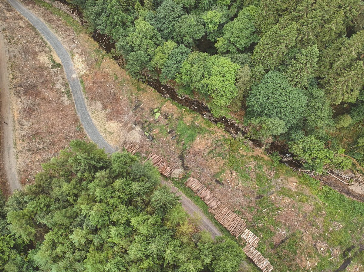 chrisgfalconer's tweet photo. A few #drone images I took over the weekend, of Rathgormack Walks’ Glenpatrick Bridge Loop - using @DJI’s #Spark

#Rathgormack #Glenpatrick #Waterford #Ireland https://t.co/Bq6vjY8CA0