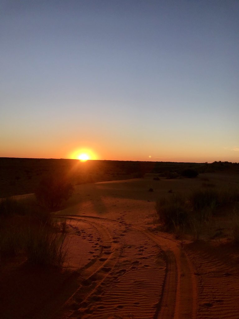 LanGreyling's tweet photo. Unplugging in the Kalahari. Sand, silence &amp; serenity! Something completely different to our general type of experience, this place sure  has a way to creep into one’s heart💛 https://t.co/CGTCQ56Tp4