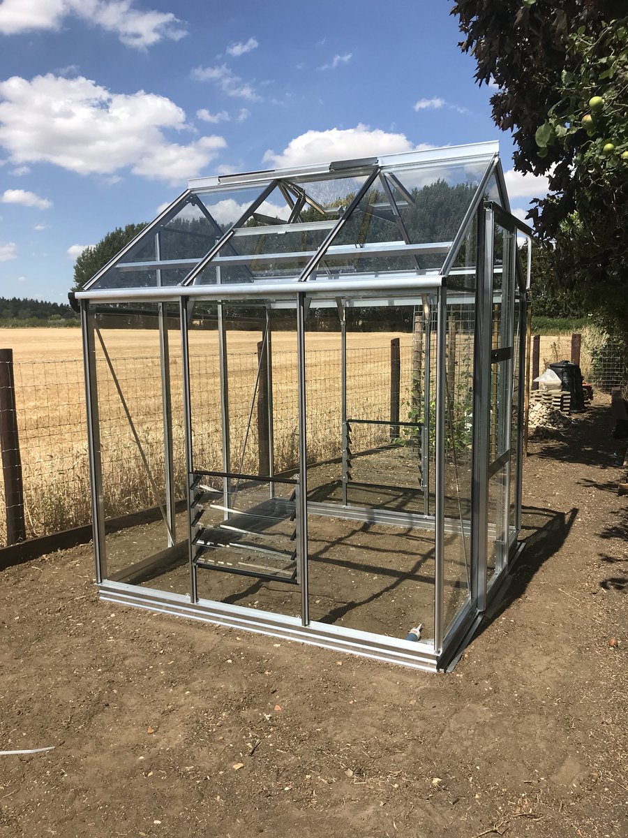 NorfolkRhino's tweet photo. Back to normal duties today with this @RhinoGreenhouse 6x6 Premium on soil #growing #garden #gryo #plants https://t.co/28siBPrIUT