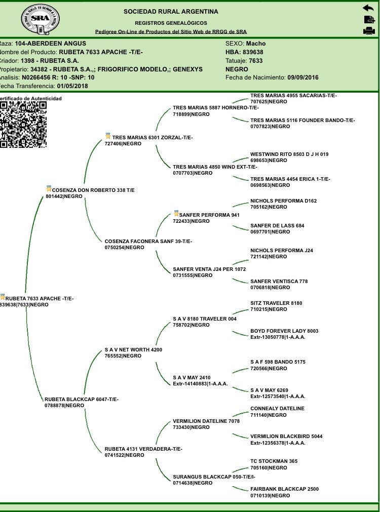 Genexys_uy's tweet photo. Te interesa conocer más sobre Apache? Este es su árbol genealógico
#apache #angus #geneticadecarne #genexys #rubeta #geneticadelmodelo #expopalermo2018 #larural https://t.co/X3gELFvu1k