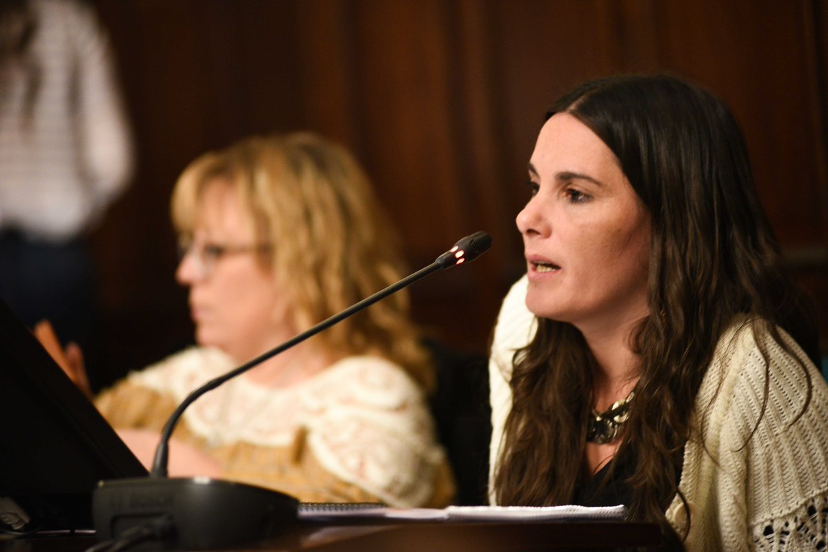 El <a href="/senadomendoza/">Cámara Senadores de Mendoza</a> aprobó el pedido para solicitar al Ejecutivo la modificación de la resolución 93 de <a href="/epremendoza/">EPRE Mendoza</a>, que el pago mensual de la factura energética sea opcional y no se incurra en mora por la falta de pago del 1ª vto, a fin de eliminar mayores costos para el usuario