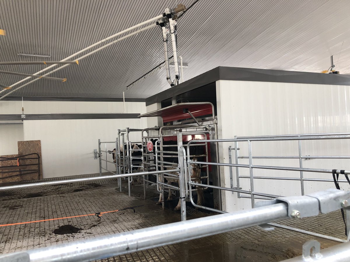 katelynmackay's tweet image. Successful startup so far @browndalefarm #livelifelely @Avonbank_Ag @DairyRobot