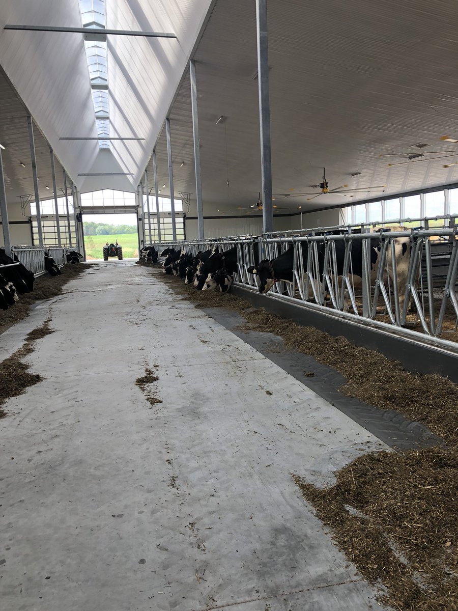 katelynmackay's tweet image. Successful startup so far @browndalefarm #livelifelely @Avonbank_Ag @DairyRobot