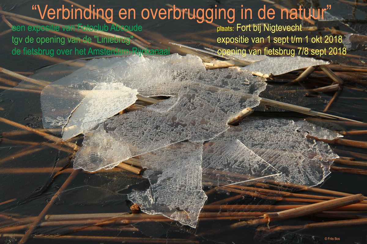 FritsBos's tweet photo. #FotoclubAbcoude exposeert "Verbinding en overbrugging in de natuur"    van 1 sept - 1 okt 2018 in #FortbijNigtevecht tgv van de #opening van de #fietsbrug over #ARK. https://t.co/FCh9wQk10D