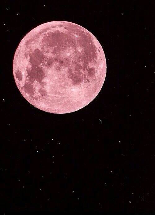 <a href="/deArteagaMarga/">Marga ⚜</a> @GRET4__ <a href="/tesamarylagvaz1/">Luz María 🇲🇽</a> <a href="/amaliacarros/">Ami</a> @maria_juanc <a href="/beatriz58280942/">Beatriz</a> <a href="/CarmenRosi_/">Carmen Rosi</a> <a href="/MJCS7/">MAR 🌊⛵️</a> <a href="/EstherBenito9/">Esther Benito🌹</a> <a href="/Moniquerrima/">Mónica</a> <a href="/16maluz/">LUZ☕🦋</a> @LucellydMaria <a href="/s_msonia/">Sonia Álvaro</a> @EresMiSentir <a href="/_Amy777/">คмคหdค</a> <a href="/gatotonas/">maria jose</a> <a href="/abrazodealgodon/">Soul Life</a> <a href="/Margaritarora/">Margarita</a> <a href="/SonixFloresI/">Sonia🦋</a> <a href="/Chustdelhoyo/">ALIZIA</a> <a href="/martachavez1234/">martachavez hernadez</a> Buenas noches,guapísimas.Dulces sueños😘🌛Vamos a contarlas😍😊