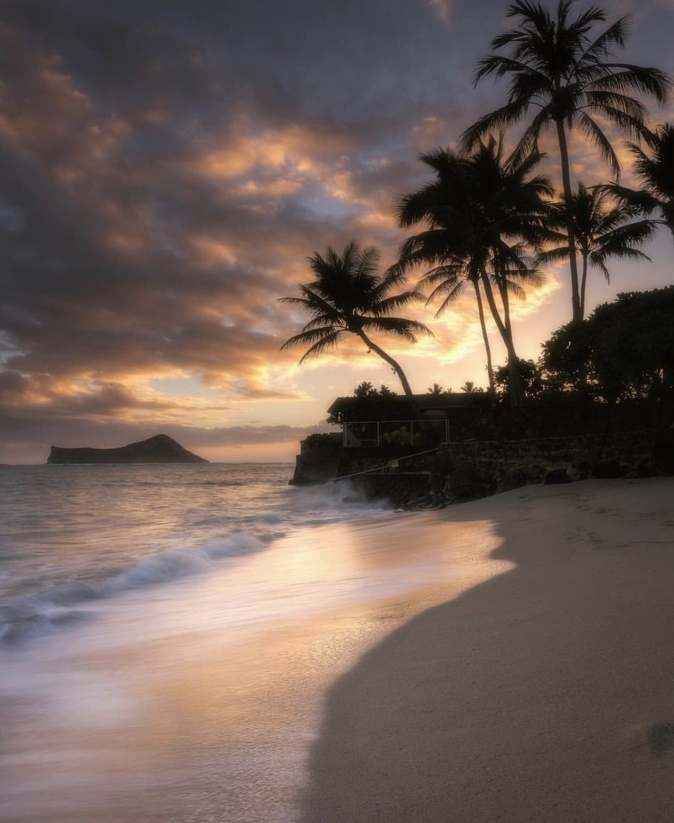 visual_supply's tweet image. Hawaii dreams 😍🌴🌌