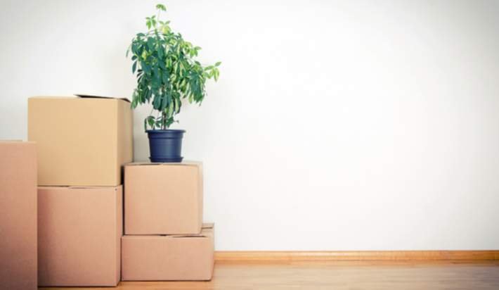 HermanInsurance's tweet image. If you've recently moved into a new home, here's what you should clean right away: otbd.it/S0UOJYUw