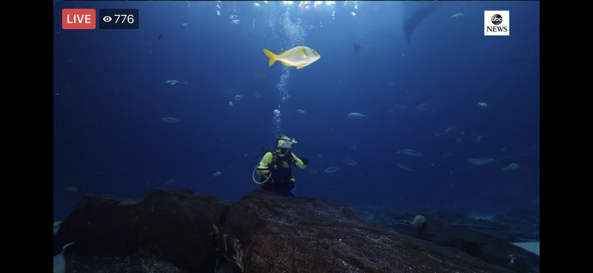 Ginger Zee on Twitter "Want to watch my rehearsal and Facebook live