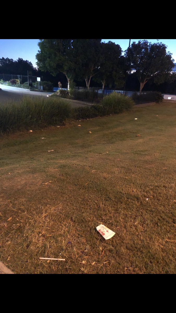 shaunbronca's tweet photo. @McDonalds @McDonaldsCorp @cityofgoldcoast this is disgusting and a very common sight at my local McDonald’s. A bin right there and no-one uses it. How about McDonald’s doing a pick up of this waste? I often pick it up including this morning. #why https://t.co/u6XeT8kxz3