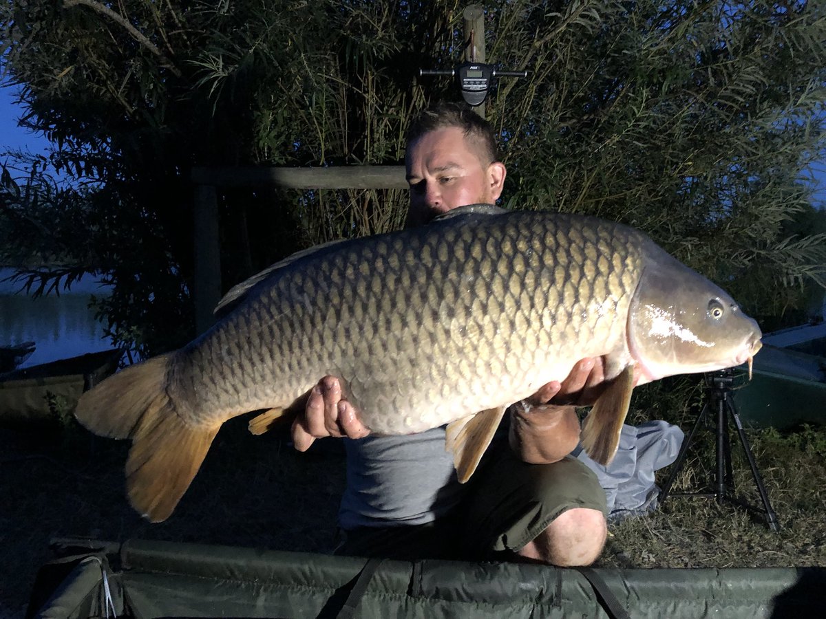 cbtiling's tweet photo. To fish on my birthday😃 30lb 8oz common and a 12lb 10oz mirror #probaitsuk https://t.co/FbqYPoCf5Q