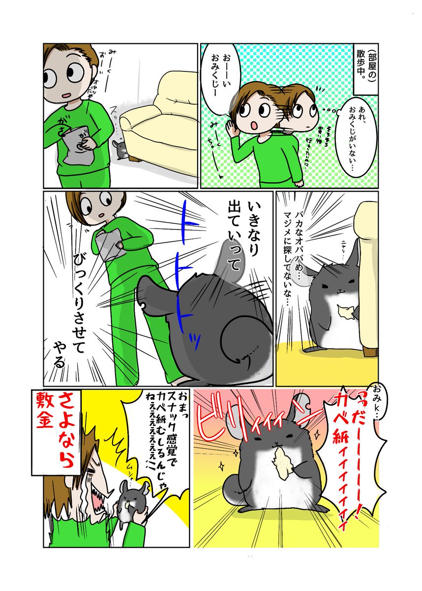 昔描いた漫画をアップして描いた気になっときます
#明神とオババ 