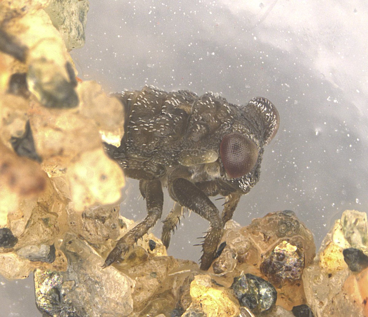 Alex Knyshov tweet media