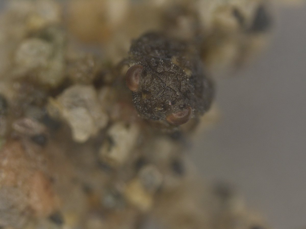 Alex Knyshov tweet media