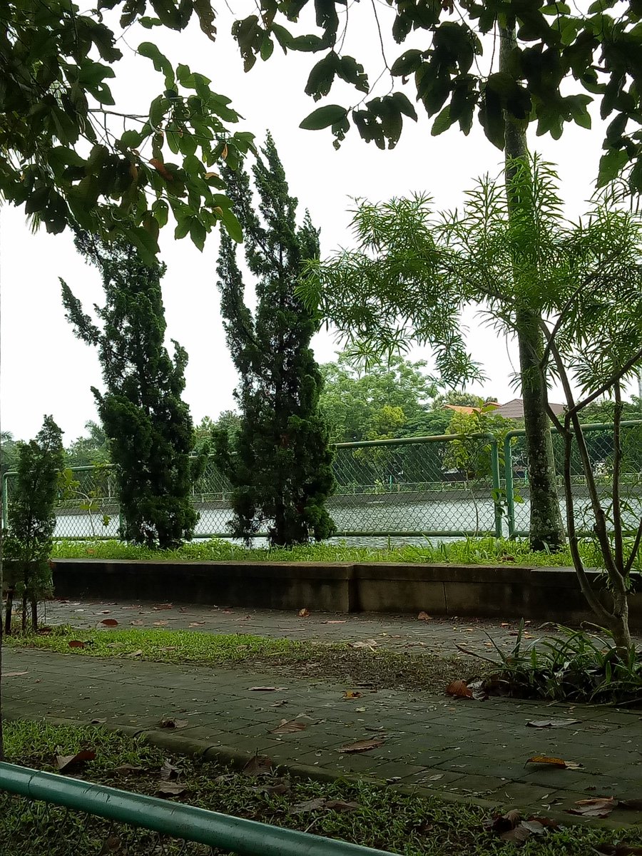 outdoor  Cr คุยเสียว tweet media