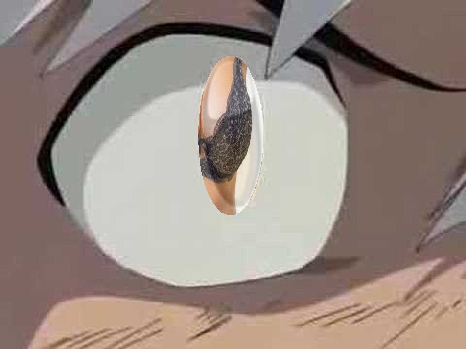 buff_kagome tweet picture