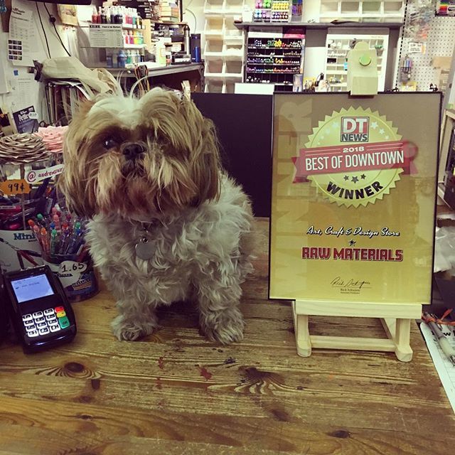 RawMaterials's tweet photo. We were named “Best Art, Craft, &amp; Design Store” in the 2018 Best of Downtown from @ladowntownnews, thanks to your votes! Wonton is more excited than he looks (and he’s overdue for a visit to our neighbors and fellow winners at @pussandpooch). #artsupplies #shoplocal #bestofd… https://t.co/ITDQK9Ihbx